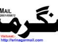غیر تسلی بخش کار کر دگی اور محکمہ ٔ صحت کا حکمنامہ