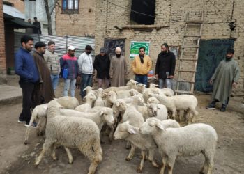 شیپ ہسبنڈری کی جانب سے ترال میں تین بھیڑ یونٹس قائم