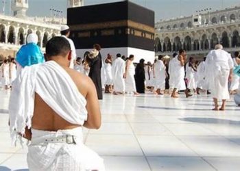 حج تیاریاں مکمل،  سعودی حکومت کے فیصلے کا انتظار ہے:نقوی