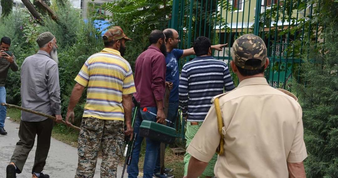 سرینگر شہر میں دہشت مچانے والے ریچھوں کو سخت مشقت کے بعد قابو کیا گیا