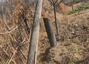 وسطی کشمیر کے بڈگام میں شر پسندوں کی کارستانی