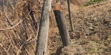 وسطی کشمیر کے بڈگام میں شر پسندوں کی کارستانی