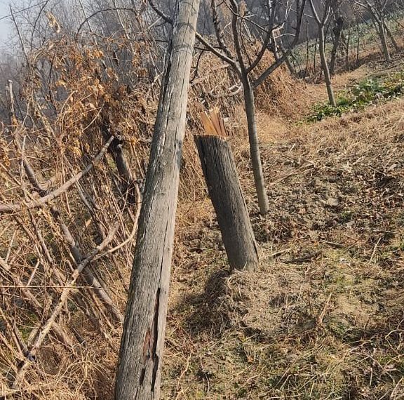 وسطی کشمیر کے بڈگام میں شر پسندوں کی کارستانی