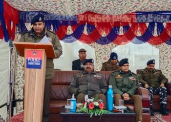جنوبی کشمیر کے ترال میں ملٹنسی تقریباً ختم:دلباغ سنگھ