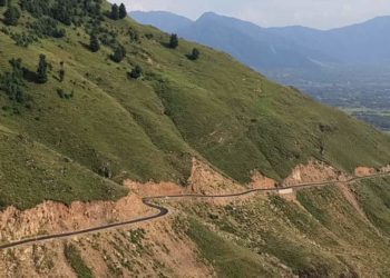 لرگام ترال میں سڑک کی تعمیرکے لئے بیوہ خاتون کی ملکیتی اراضی حاصل کی درخت کاٹے گئے