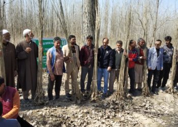 سوشل فارسٹری کی جانب سے بانڈرپورہ اونتی پورہ میں پودے تقسیم