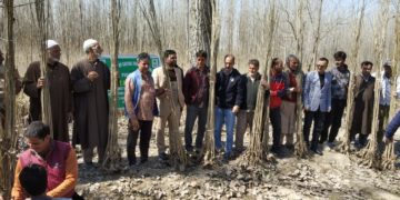 سوشل فارسٹری کی جانب سے بانڈرپورہ اونتی پورہ میں پودے تقسیم