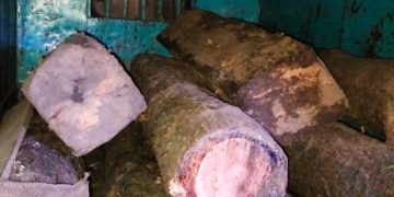 ترال میں پولیس نے شبانہ ناکےکے  دوران  عمارتی لکڑی ضبط کی