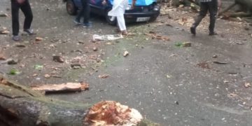 ترال میں تیز ہوائیں چلنے سے بڑے پیمانے پر تباہی مچ گئی
