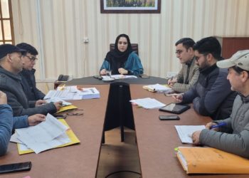 ضلع ترقیاتی کمشنر بارہمولہ نے 2023-24ءکیلئے کے پی ڈی سی ایل کے تحت منصوبوں کی پیش رفت کا جائزہ لیا