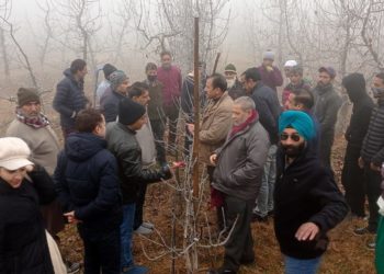 کے وی کے سکاسٹ نے سری نگر میںکینوپی مینجمنٹ پر سٹرائی پروگرام کا آغاز کیا۔