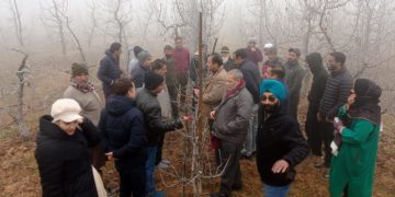کے وی کے سکاسٹ نے سری نگر میںکینوپی مینجمنٹ پر سٹرائی پروگرام کا آغاز کیا۔