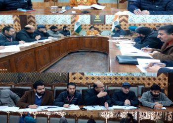 ضلع ترقیاتی کمشنر کپواڑہ نے کے سی سی اور اے آئی ایف سی کے ہدف کا جائزہ لیا