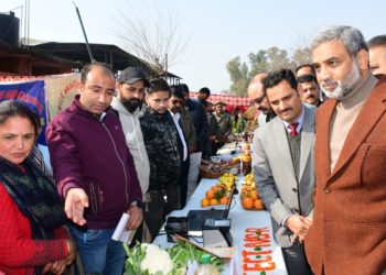 شالین کابرا نے نوشہرہ میں عوامی دربار کی صدارت کی