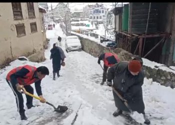 ترال میں روا ں سیزن کی پہلی برف باری