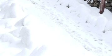 وادی کشمیر میں شدیدبرف باری کا ایک اور مرحلہ