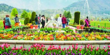 ایشیاکا سب سے بڑا گلِ لالہ باغ سیاحوں کیلئے کھلا