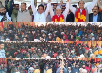 ترال میں اپنی پارٹی کا عوامی جلسہ