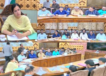 ضلع ترقیاتی کمشنر کپواڑہ نے رینٹ اسسمنٹ کمیٹی میٹنگ کی صدارت کی