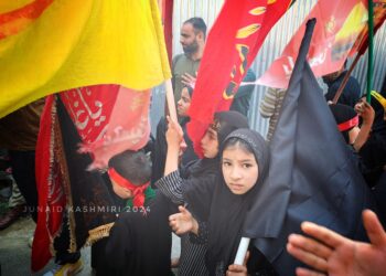 وادی کشمیر میں مختلف مقامات پر ذوالجناح کے جلوس برآمد