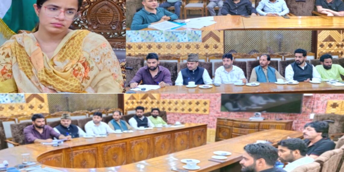 ڈِسٹرکٹ الیکشن آفیسر نے سیاسی جماعتوں کے نمائندوں کے ساتھ میٹنگ منعقد کی