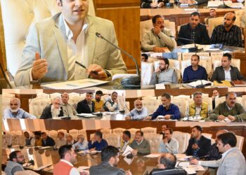ضلع ترقیاتی کمشنر کولگام نے پاور سیکٹر آر ڈی ایس سکیم کا جائزہ لیا