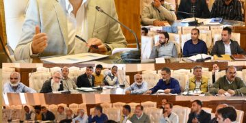 ضلع ترقیاتی کمشنر کولگام نے پاور سیکٹر آر ڈی ایس سکیم کا جائزہ لیا