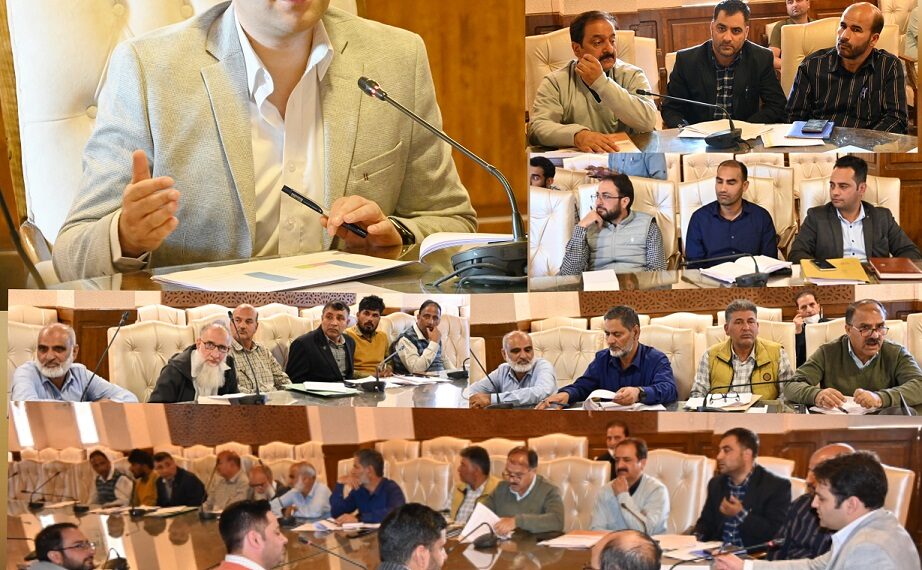 ضلع ترقیاتی کمشنر کولگام نے پاور سیکٹر آر ڈی ایس سکیم کا جائزہ لیا
