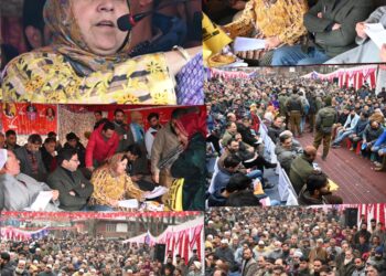 سکینہ ایتو نے کولگام کے مالوان گاوں کا دورہ کیا ، عوامی دربار کی صدارت کی