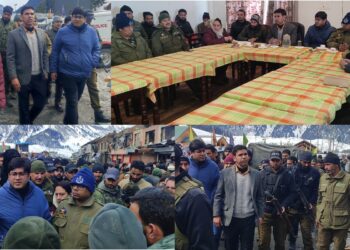 ایم ایل اے کنگن ، صوبائی کمشنر کشمیر اور ضلع ترقیاتی کمشنر گاندربل نے جائے وقعہ کا دورہ کیا اور نقصانات کا جائزہ لیا