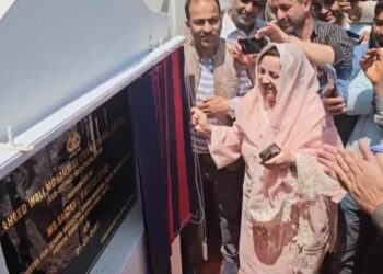 سکینہ اِیتو نے ڈِی ایچ پورہ میں 50 بستروں پر مشتمل شہید ولی محمد اِیتو میموریل سب ڈِسٹرکٹ ہسپتال اور احمد آباد کولگام میں نیو ٹائپ پرائمری ہیلتھ سینٹر کا اِفتتاح کیا