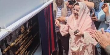 سکینہ اِیتو نے ڈِی ایچ پورہ میں 50 بستروں پر مشتمل شہید ولی محمد اِیتو میموریل سب ڈِسٹرکٹ ہسپتال اور احمد آباد کولگام میں نیو ٹائپ پرائمری ہیلتھ سینٹر کا اِفتتاح کیا