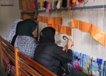 آئی آئی سی ٹی مختلف فلیگ شپ سکیموں کے تحت 11,000 قالین بُننے والوں کی مہارت کو اَپ گریڈ کیا