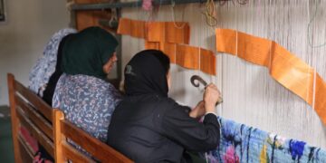 آئی آئی سی ٹی مختلف فلیگ شپ سکیموں کے تحت 11,000 قالین بُننے والوں کی مہارت کو اَپ گریڈ کیا