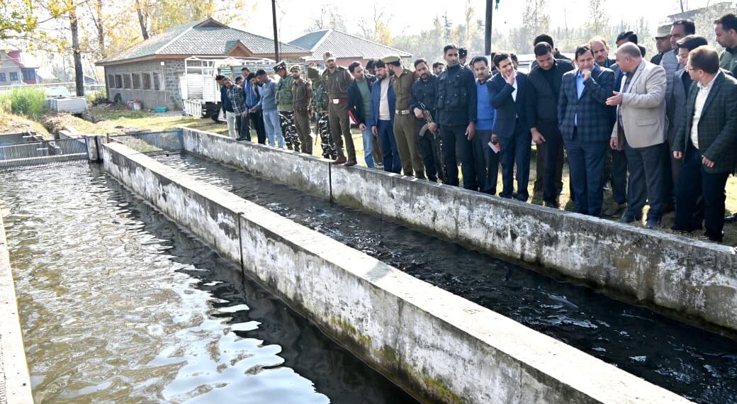 جاوید ڈار نے کلگام کا دورہ کیا ، درآمد شدہ براو¿ن ٹراو¿ٹ سیڈ کی اسٹاکنگ کا آغاز کیا