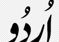 اردو زبان ۔ ماضی اور حال