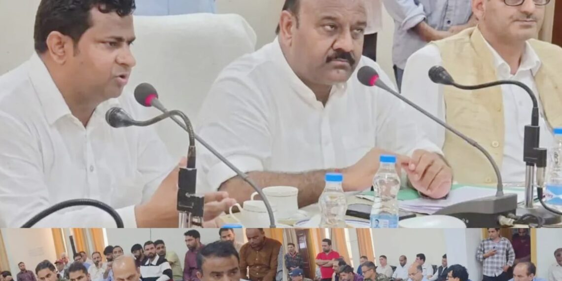نائب وزیراعلیٰ نے سیلاب سے متاثرہ بیلا کا دورہ کیا