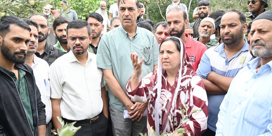 سکینہ ایتو نے کلگام کے اولوں سے متاثرہ گاوں کا دورہ کیا