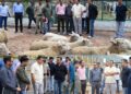 جاوید ڈار نے کھمبر فارم میں شیپ بریڈنگ کے اقدامات کا جائزہ لیا